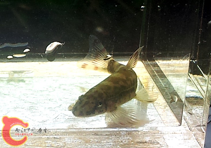 20131103_155317.jpg