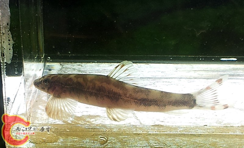 20131103_155326.jpg