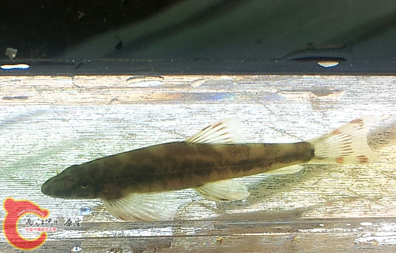 20131103_155349.jpg