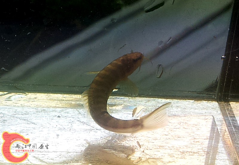 20131103_155601.jpg