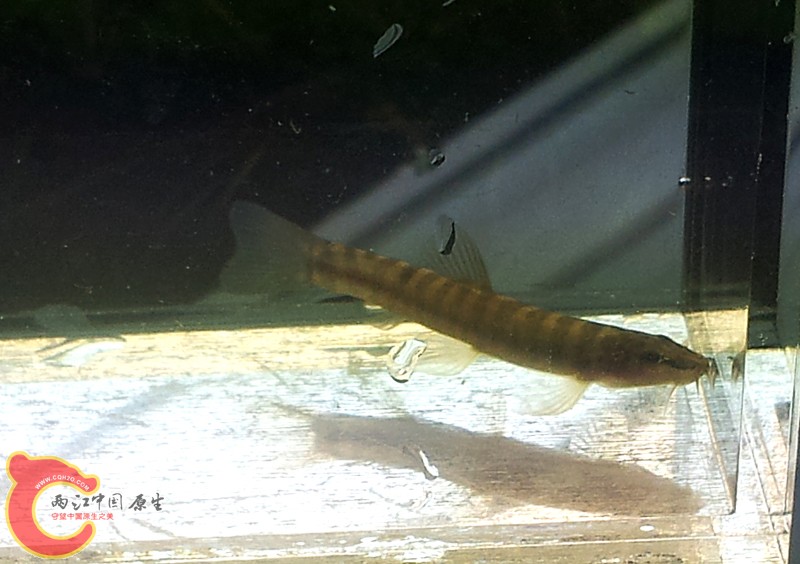 20131103_155649.jpg