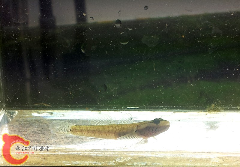 20131103_160947.jpg