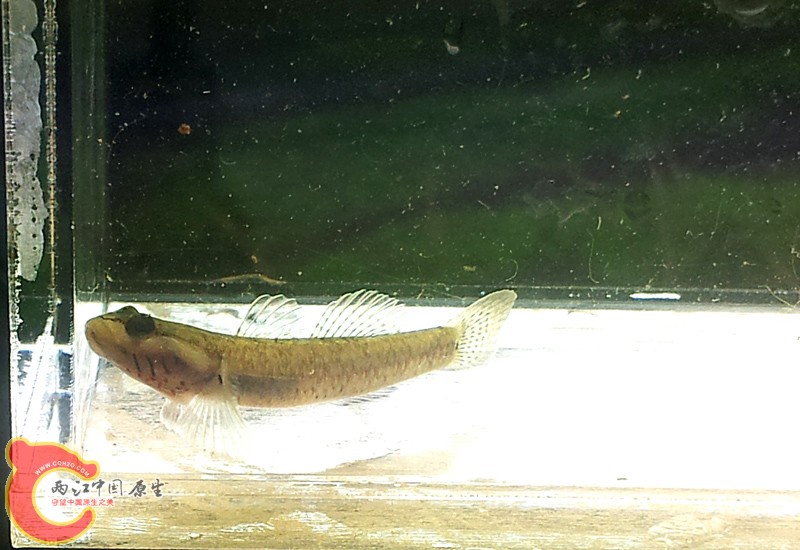 20131103_160957.jpg