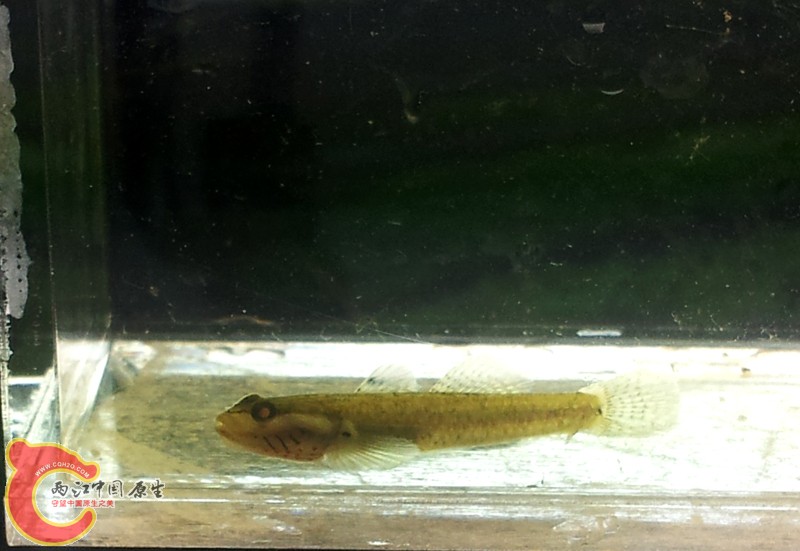 20131103_161016.jpg