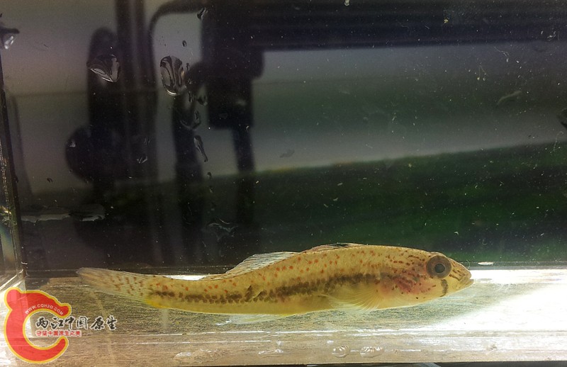 20131103_161451.jpg