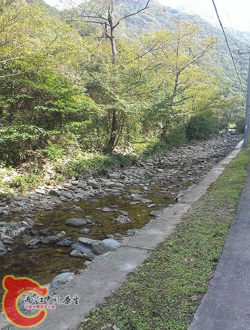 茶叶坑2.jpg