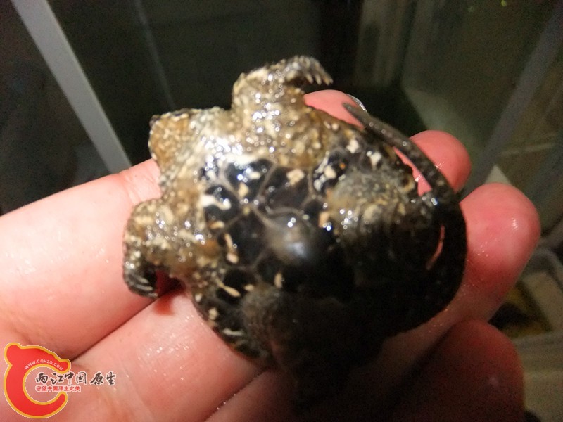 DSCF7959.JPG