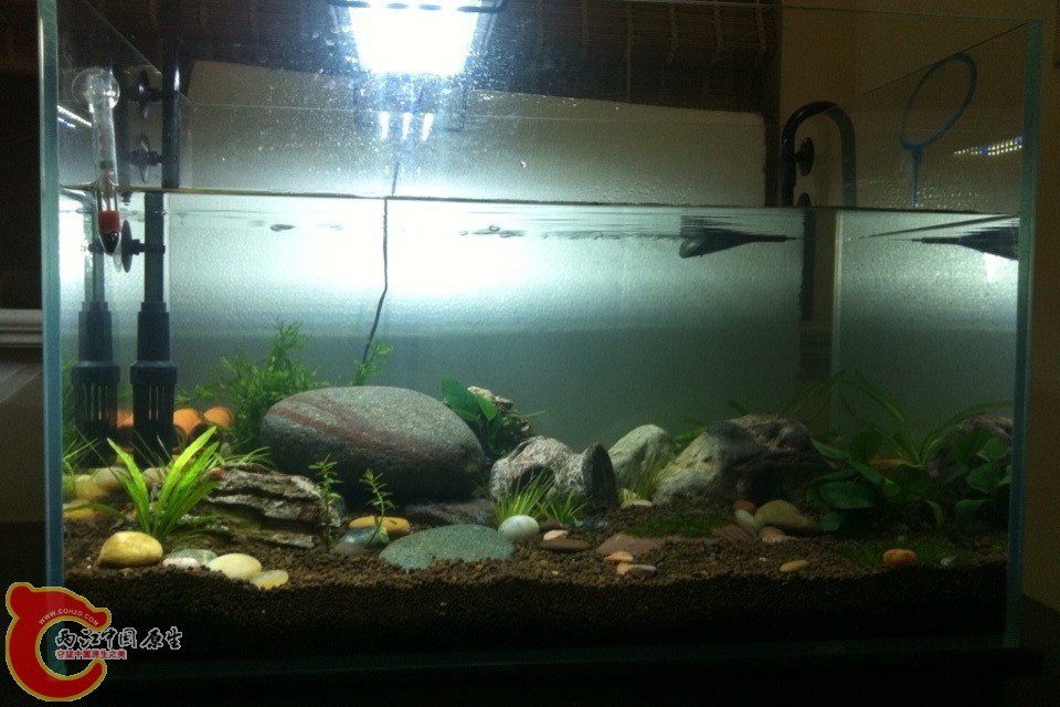 水手机拍的不怎么清