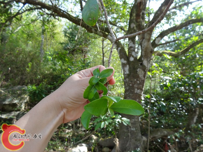 深山峡谷游 (35).jpg