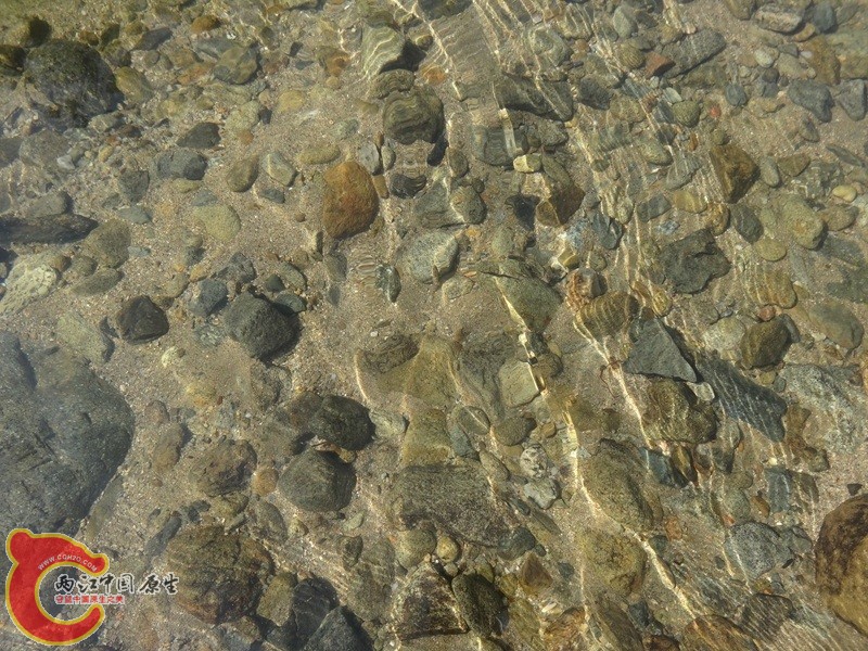 深山峡谷游 (40).jpg