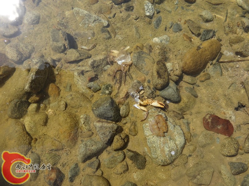 深山峡谷游 (42).jpg