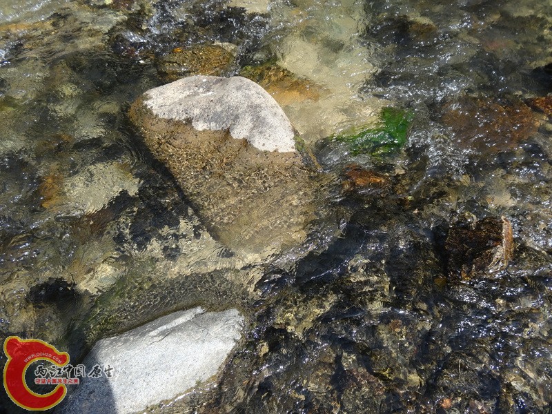 深山峡谷游 (56).jpg