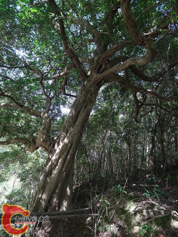 深山峡谷游 (64).jpg