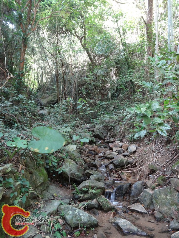 深山峡谷游 (65).jpg