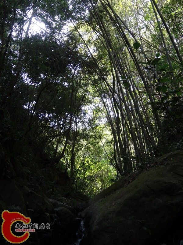 深山峡谷游 (68).jpg