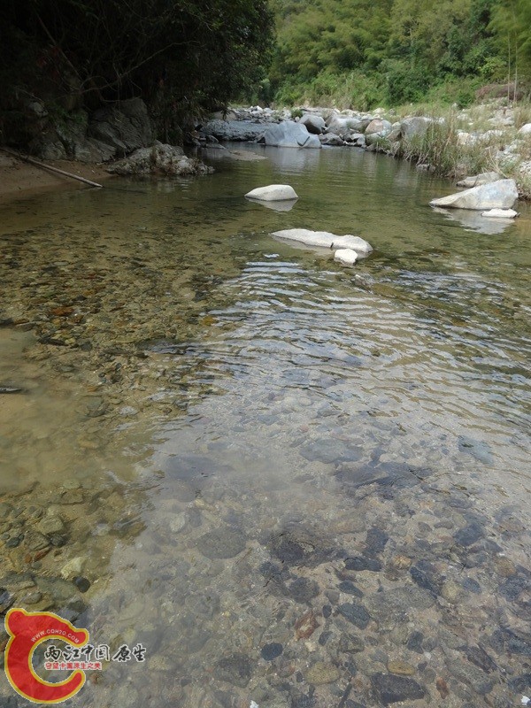 深山峡谷游 (76).jpg