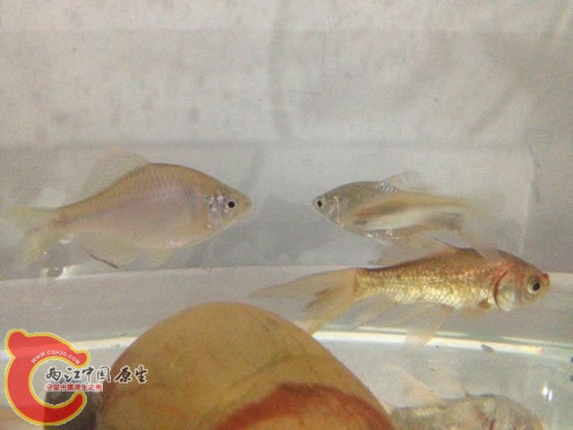 QQ图片20131112101442.jpg