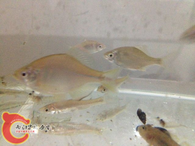 QQ图片20131112101450.jpg