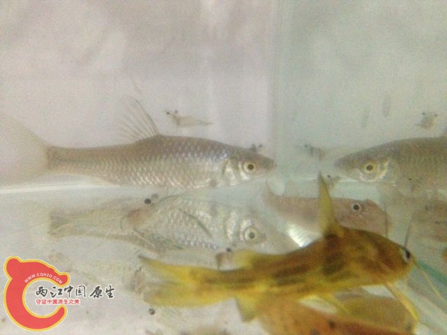 QQ图片20131112101452.jpg