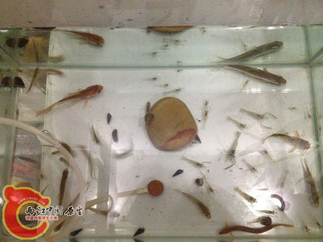 QQ图片20131112101455.jpg