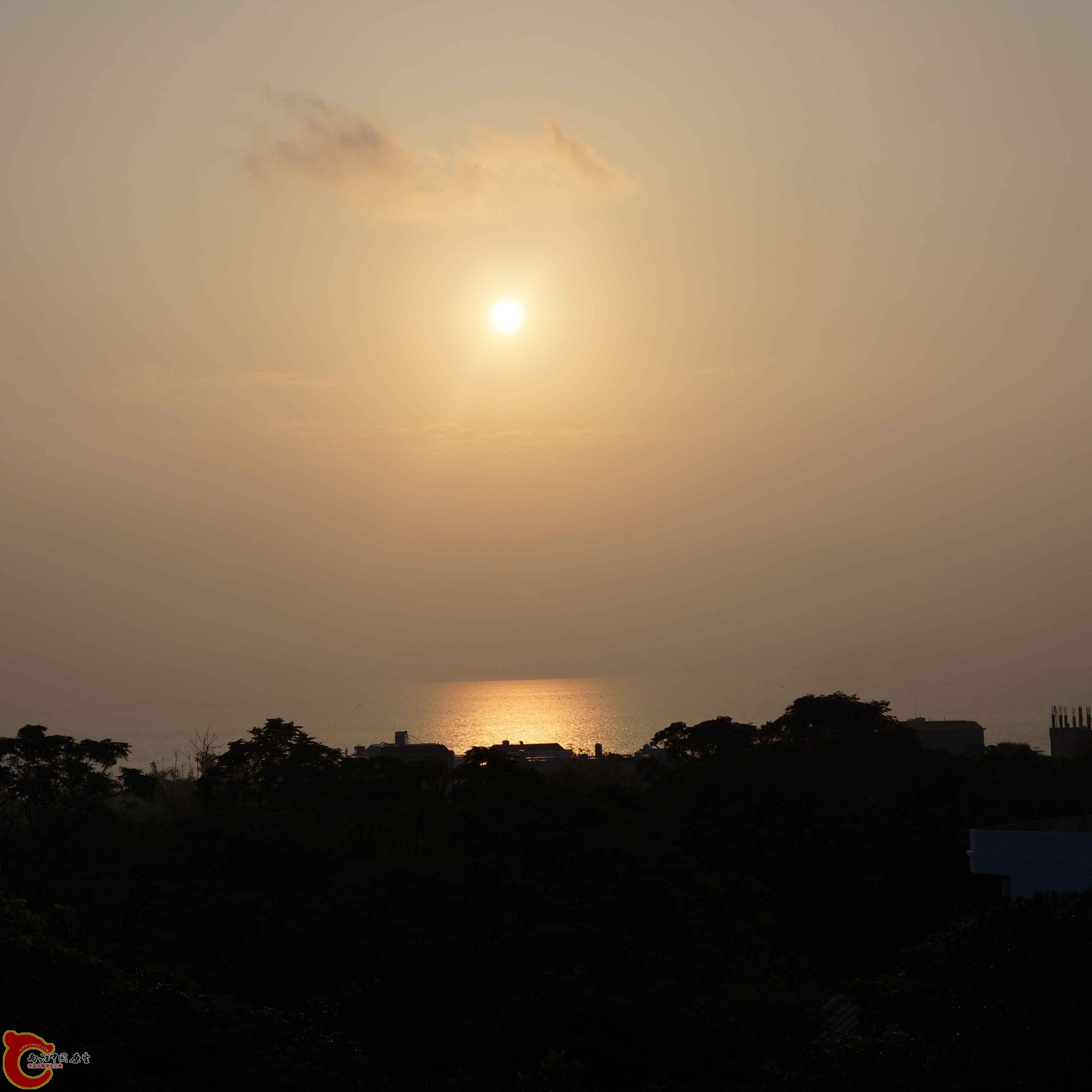 DSC01265.jpg