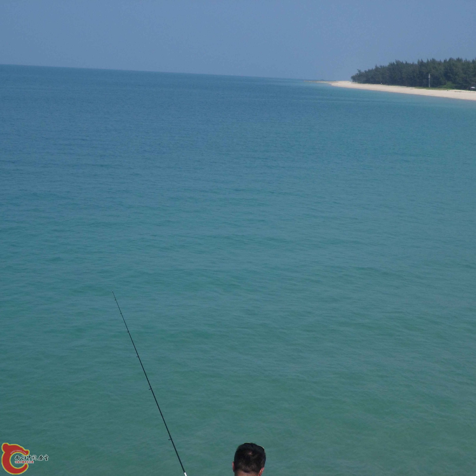 SAM_0654.jpg