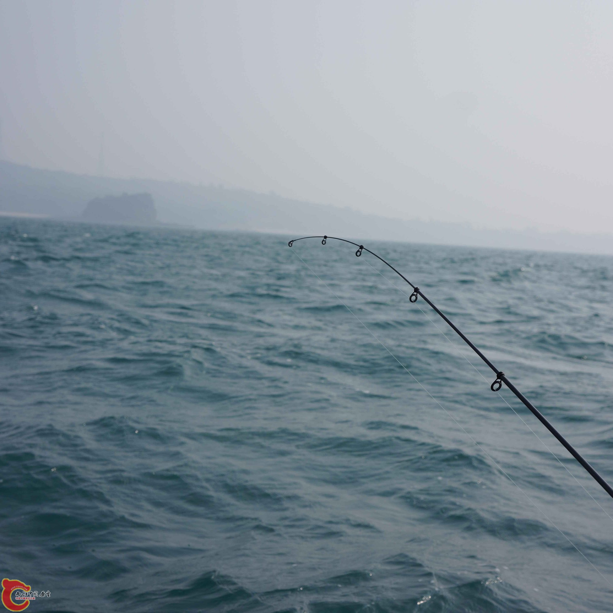 DSC01582.jpg