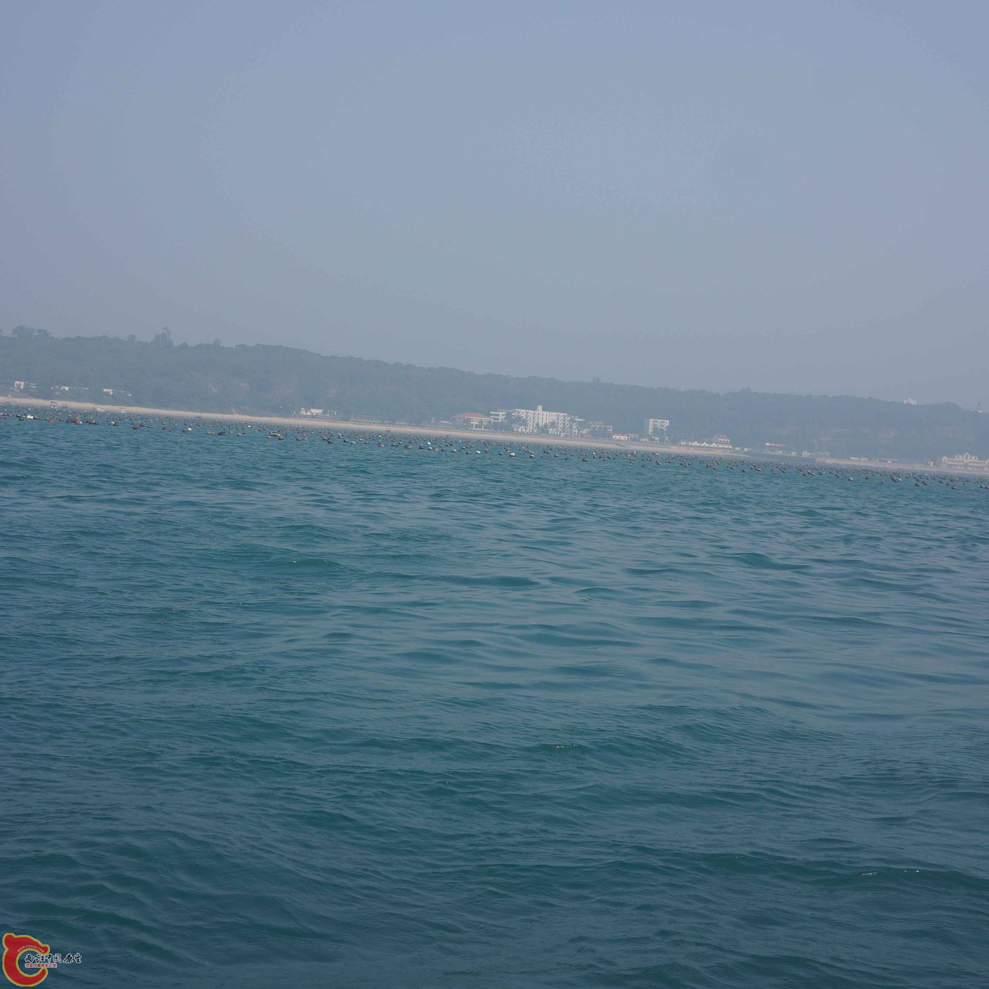 DSC01647.jpg