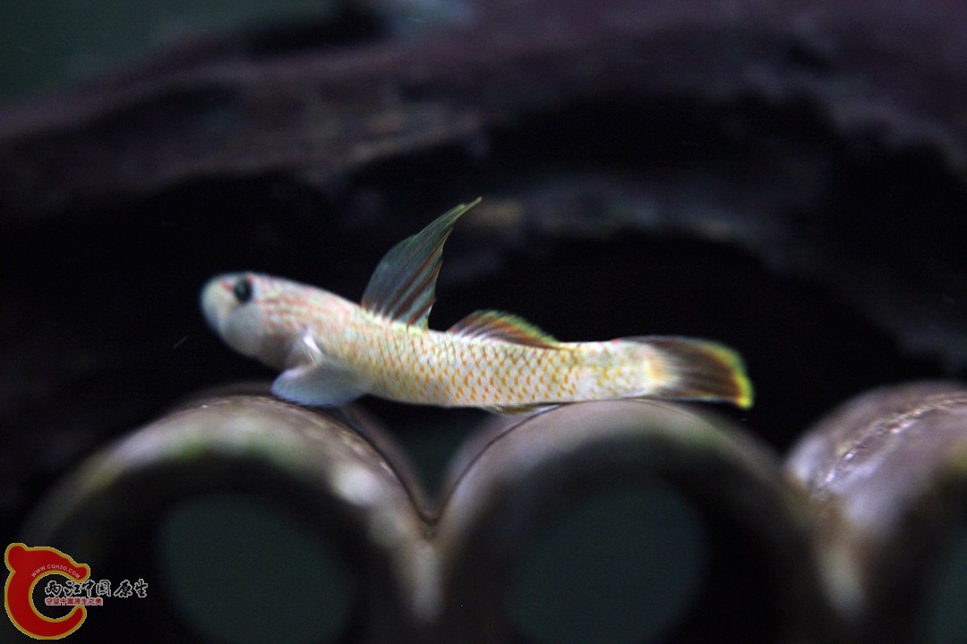 IMG_1945_副本.jpg