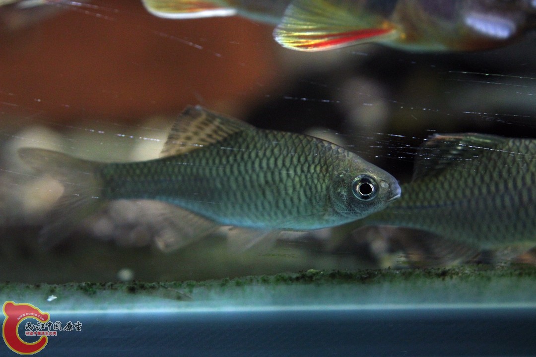 IMG_1856_副本.jpg