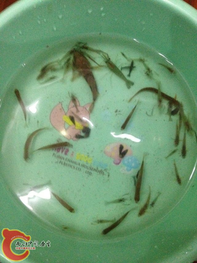 QQ图片20131114105710.jpg
