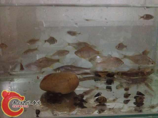 QQ图片20131114105719.jpg