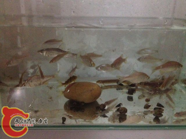 QQ图片20131114105723.jpg