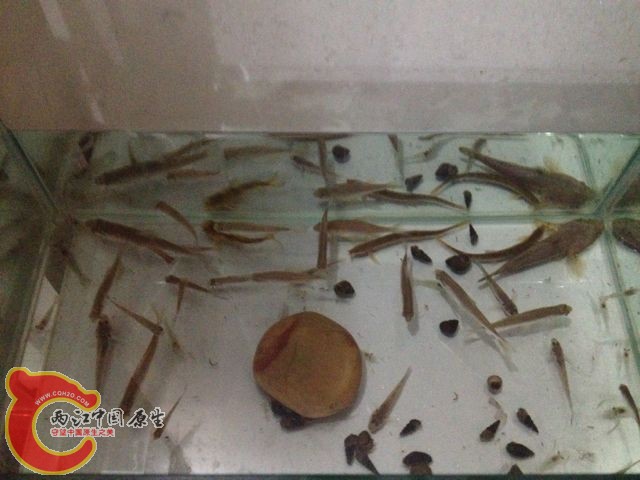 QQ图片20131114105726.jpg