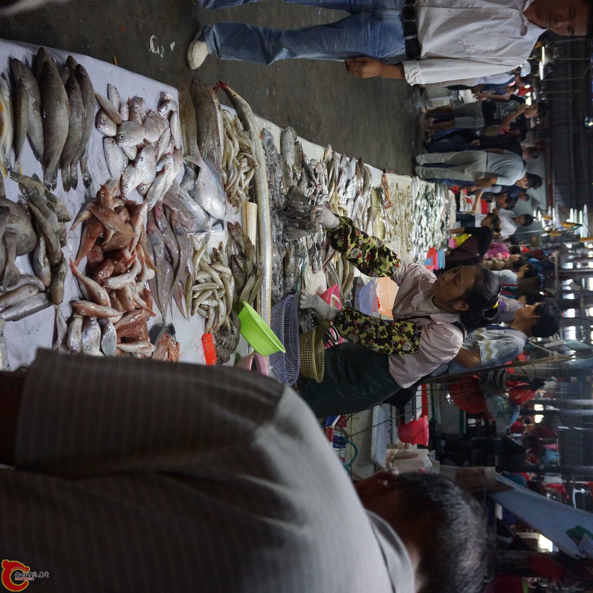DSC01771.jpg