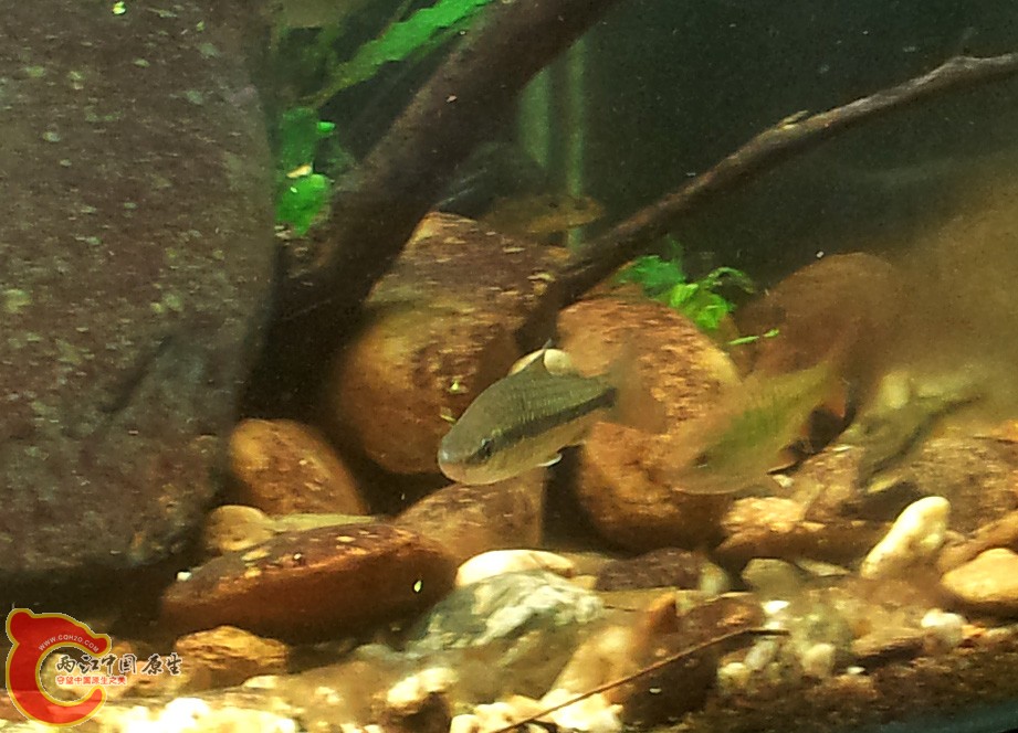 20131112_202754.jpg