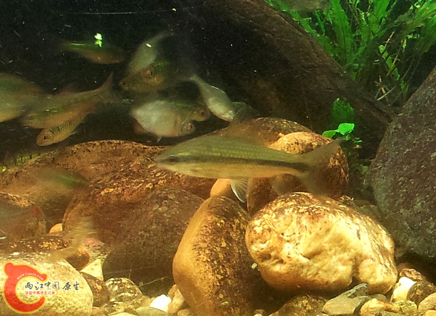 20131112_202805.jpg