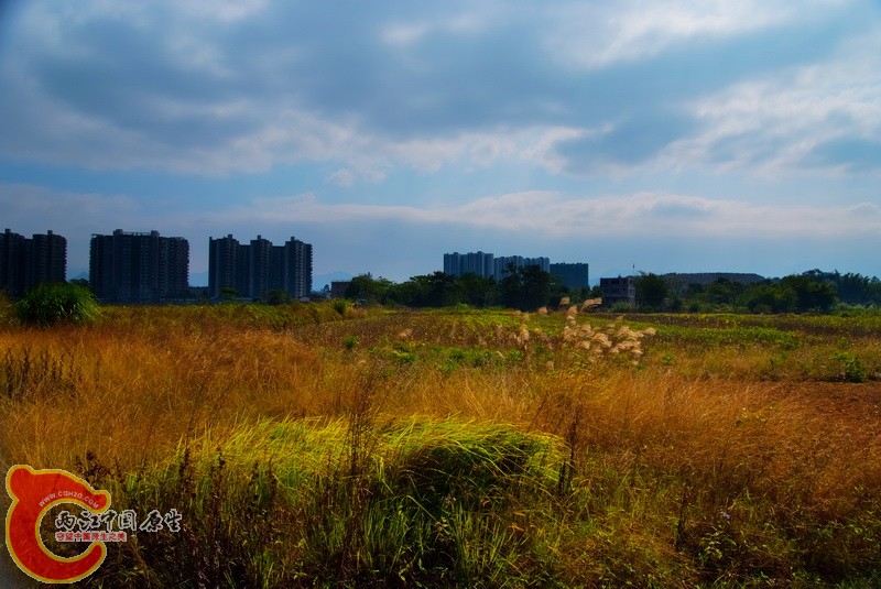 DSCF0386_副本.jpg
