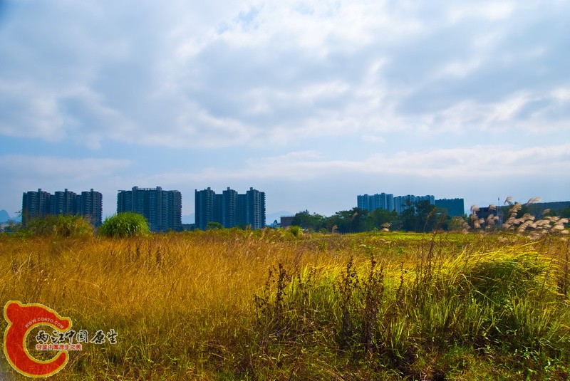 DSCF0390.jpg