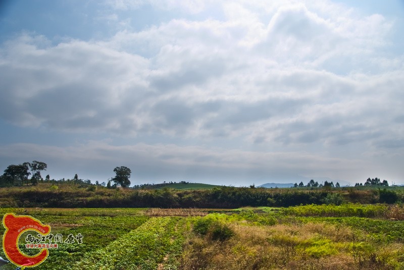 DSCF0392.jpg