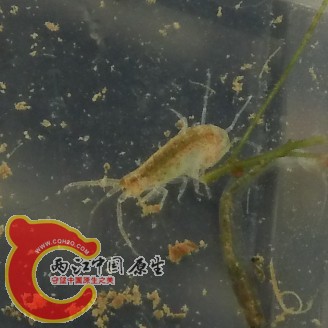QQ图片20131117132425.jpg