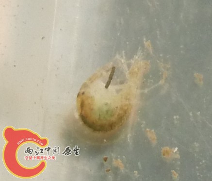 QQ图片20131117132538.jpg