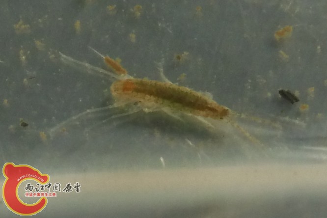 QQ图片20131117132825.jpg