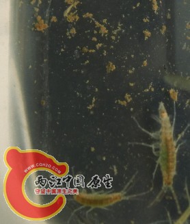 QQ图片20131117133007.jpg