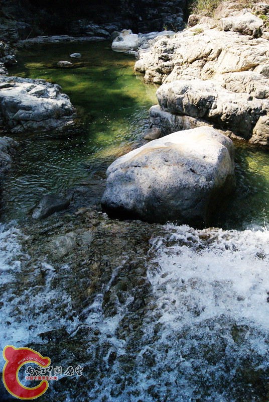 茶花谷091.jpg