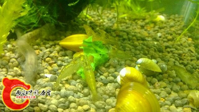 IMG_20131024_224030.jpg