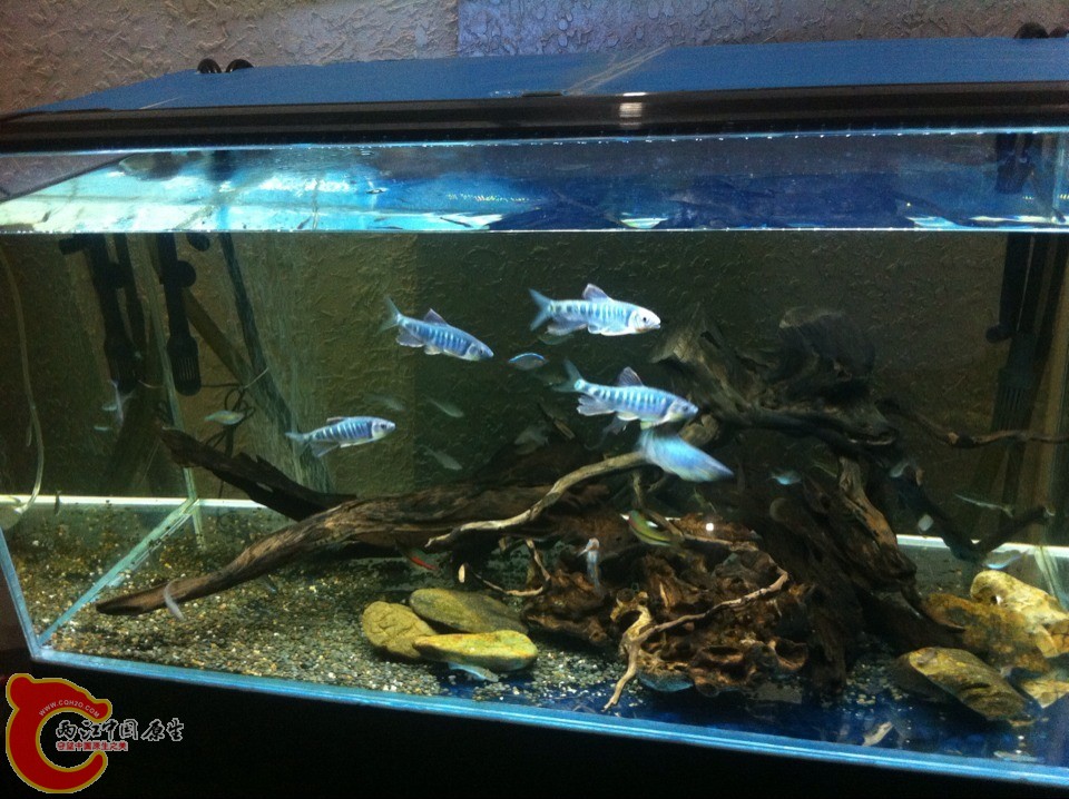 QQ图片20131120114757.jpg