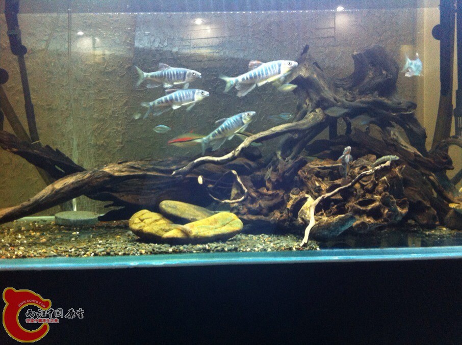 QQ图片20131120114827.jpg