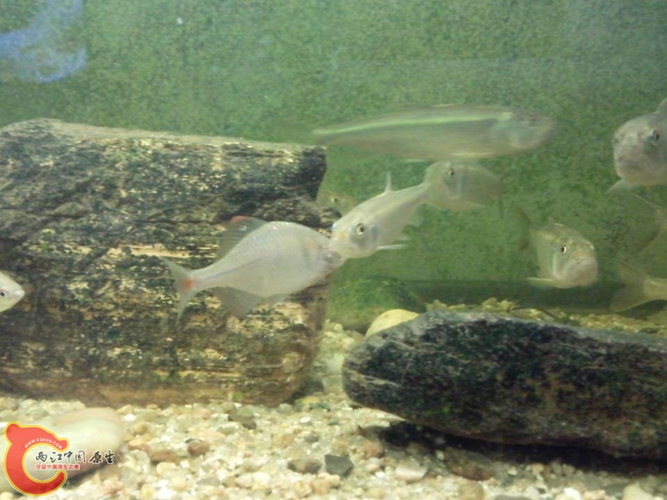 QQ图片20131122203635.jpg