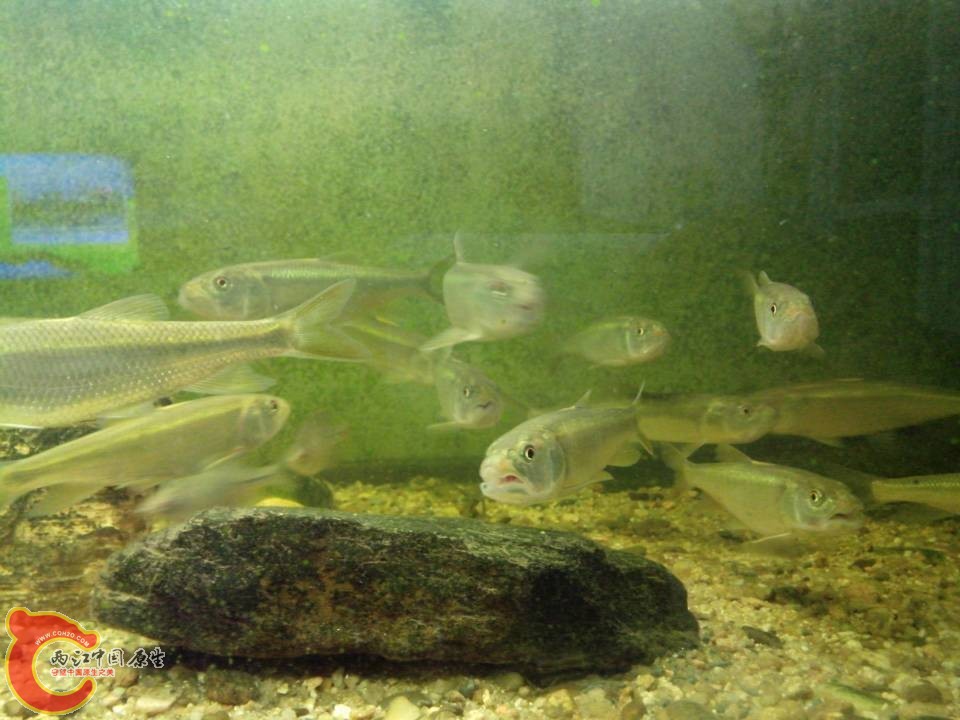 QQ图片20131122203651.jpg